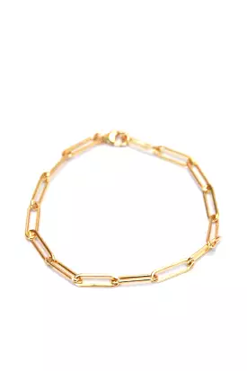 Medium Clip Chain Bracelet - Gold Filled